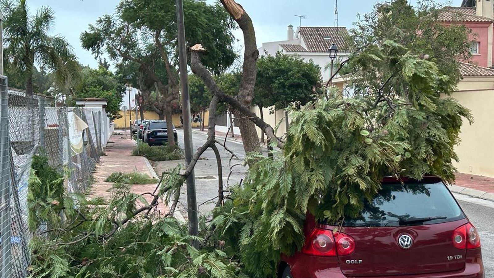 Las caídas de ramas e incluso árboles han sido frecuentes.
