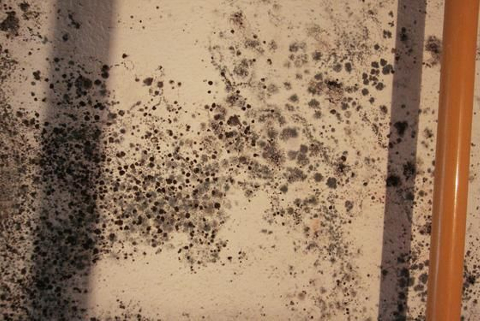 Foto: Victoria Hidalgo