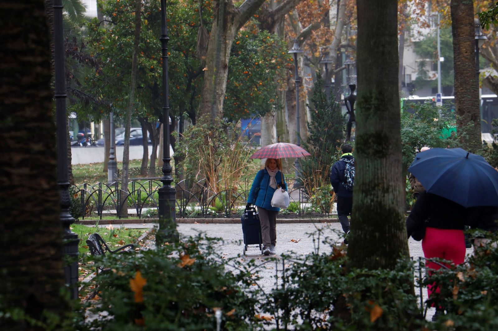El paso de la borrasca Goretti por Córdoba