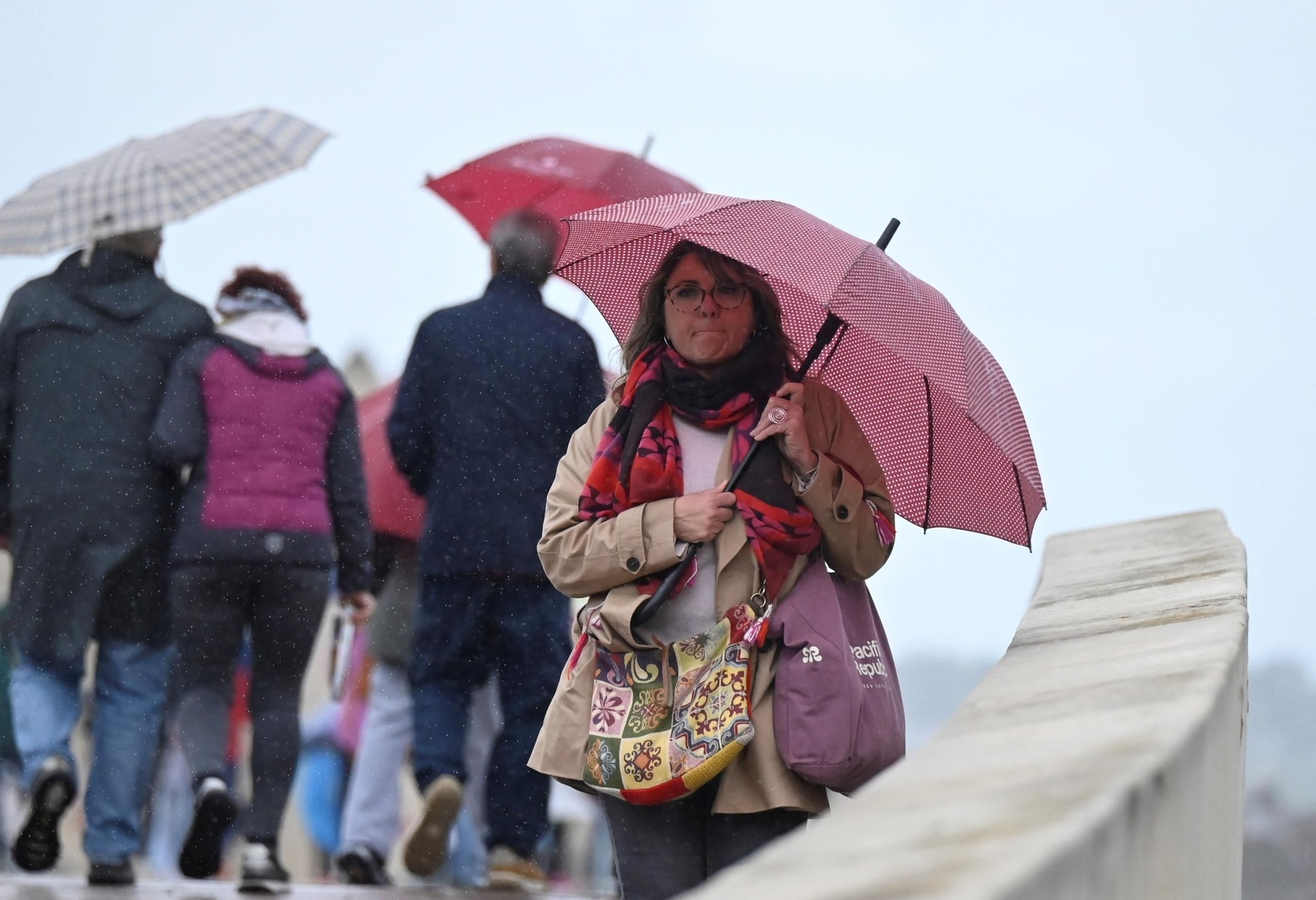 El paso por la borrasca Konrad por Córdoba, en imágenes