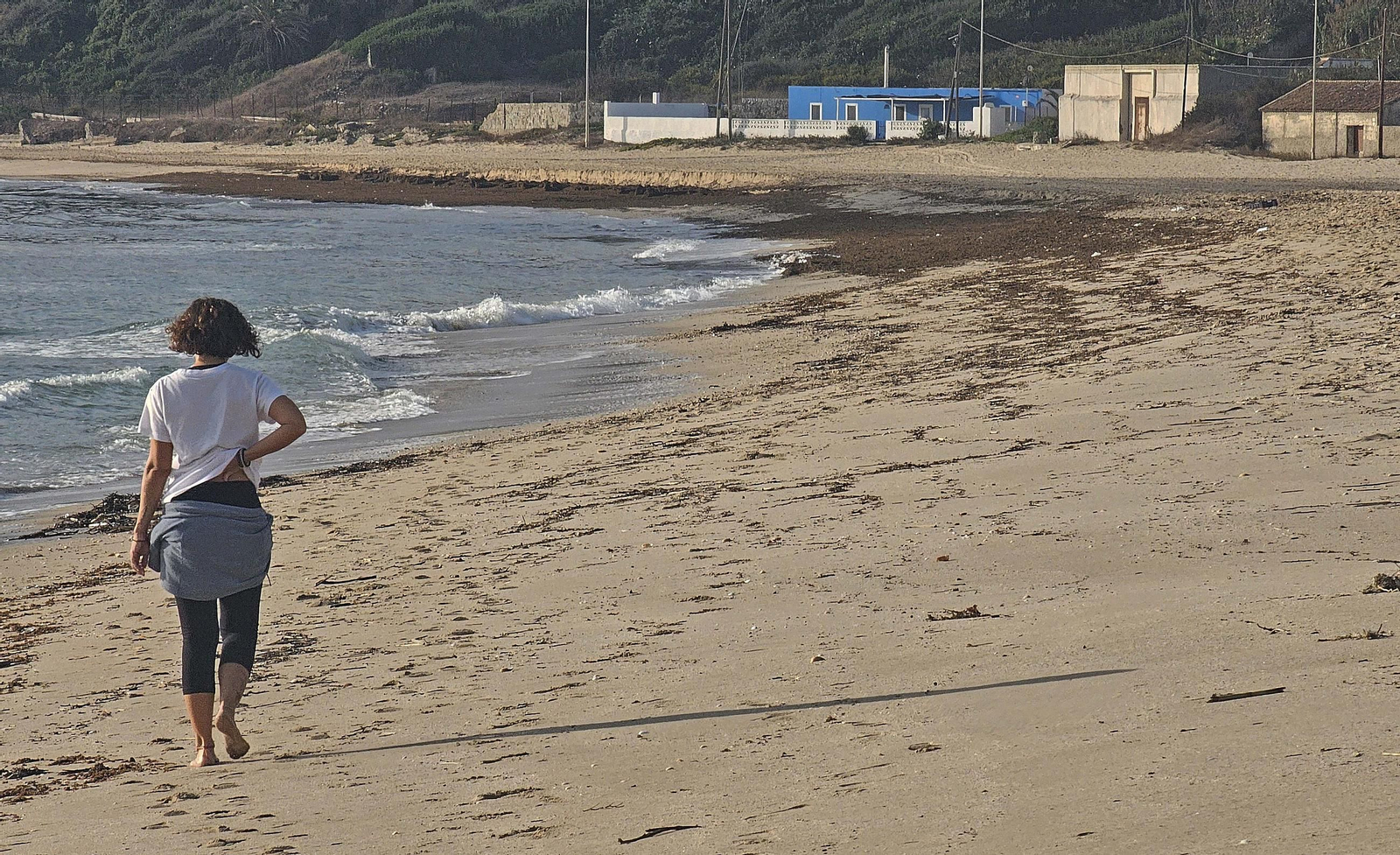 Fotos del nuevo arribazón de alga asiática en la playa de Getares de Algeciras