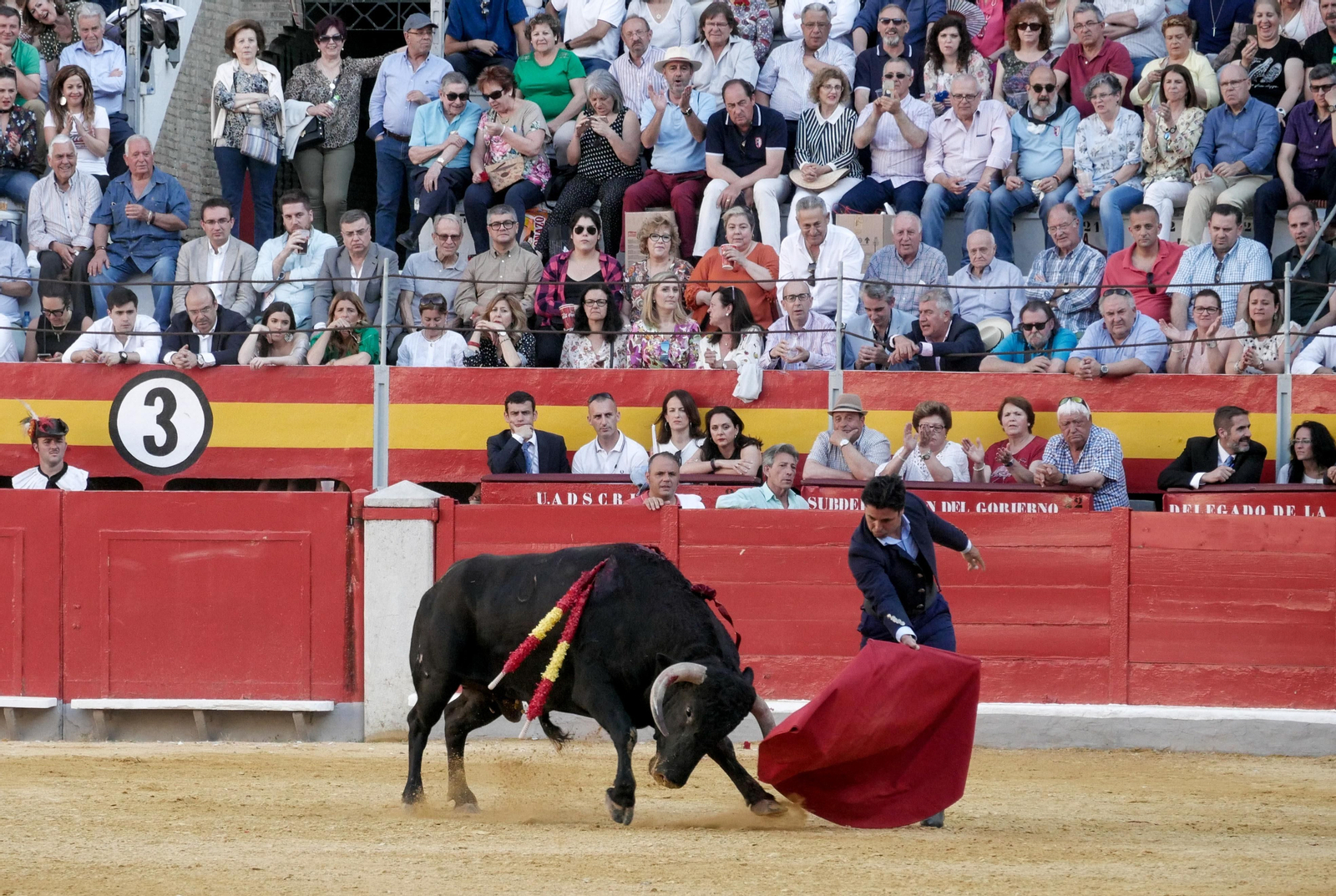 Festival taurino a beneficio de Down Granada