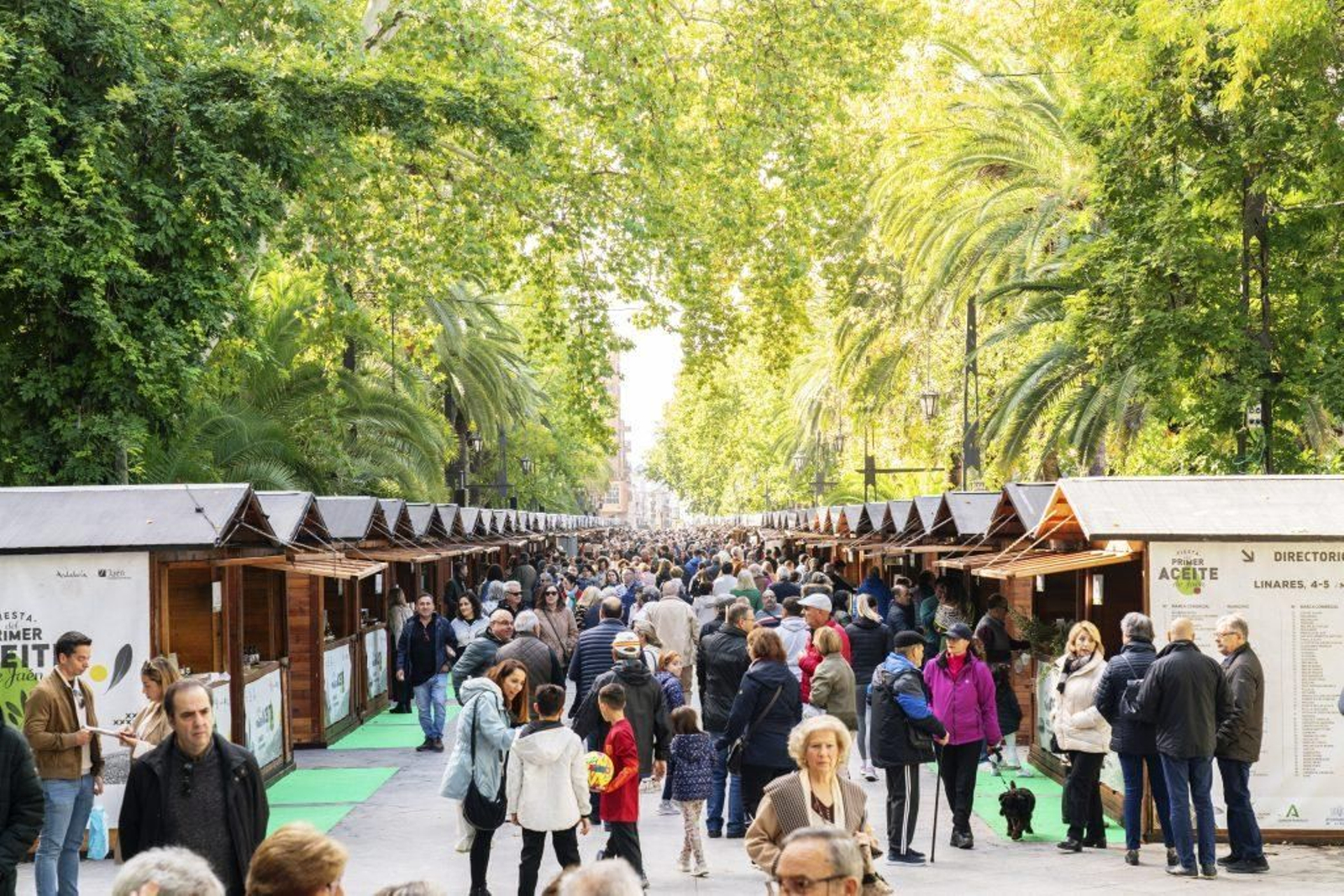 Ambiente en la anterior Feria del Primer Aceite Ambiente en la anterior Feria del Primer Aceite