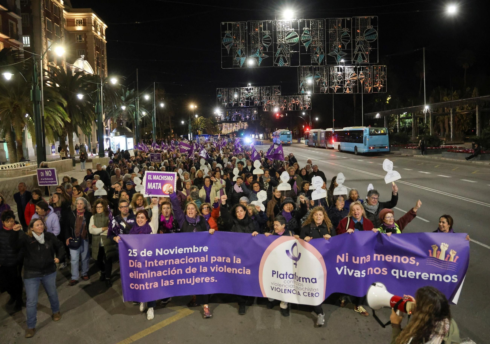 La manifestación del 25N en Málaga, en imágenes