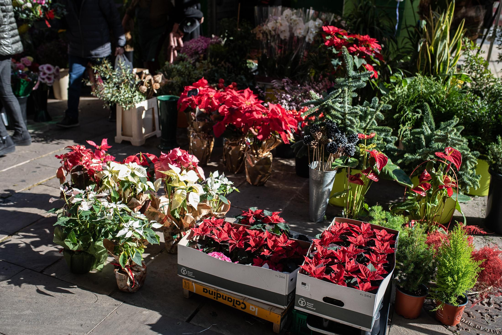 Las últimas compras en el Mercado del Carmen antes de Navidad, en imágenes