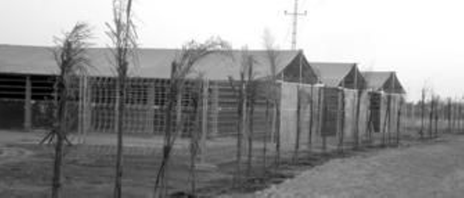 Zona de boxes portátiles que acogerán a los caballos que van a llegar de distintos puntos de España para disputar el Campeonato Nacional.