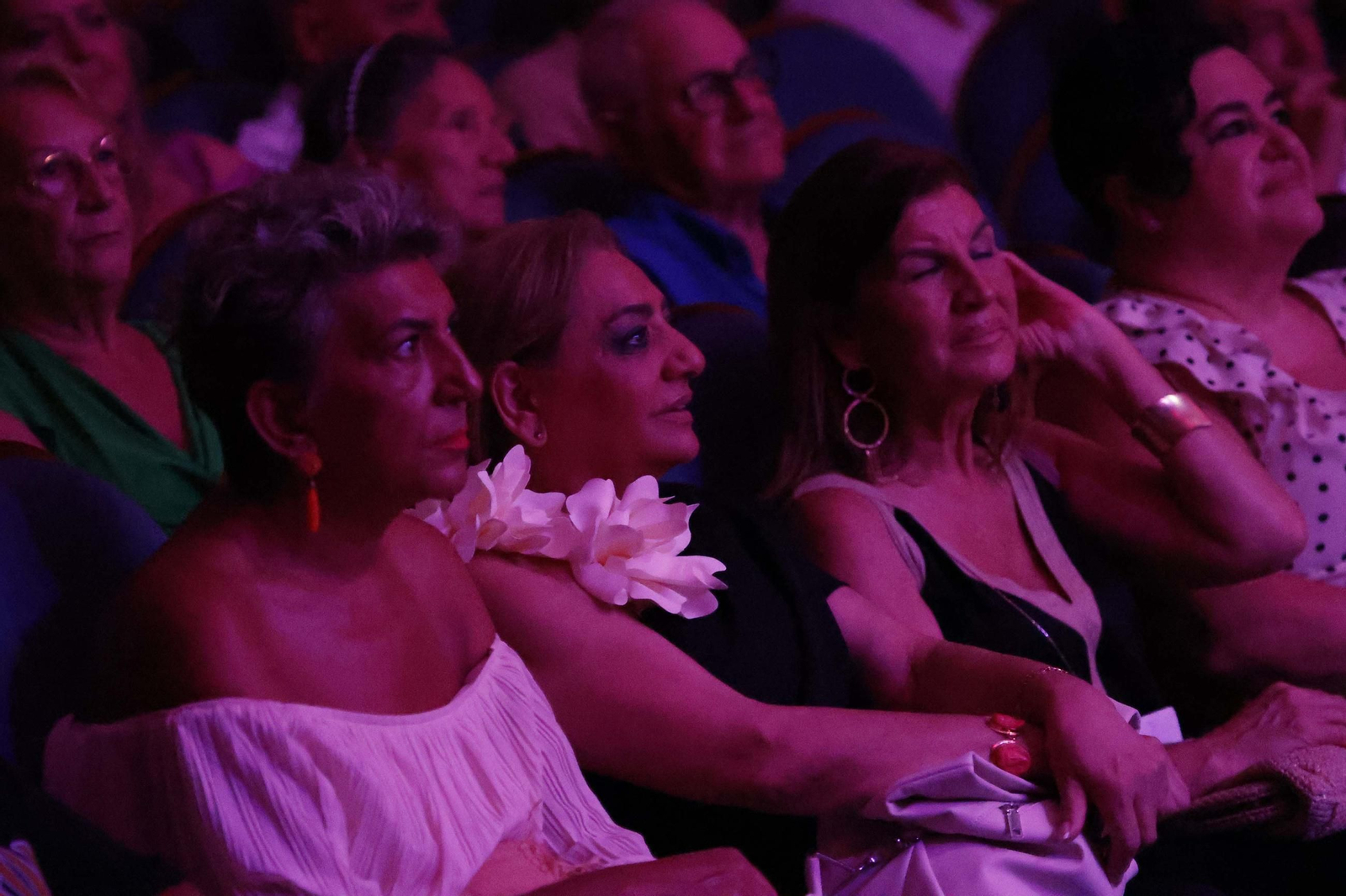 Fotos del concierto de la familia de Camarón en La Línea Flamenca