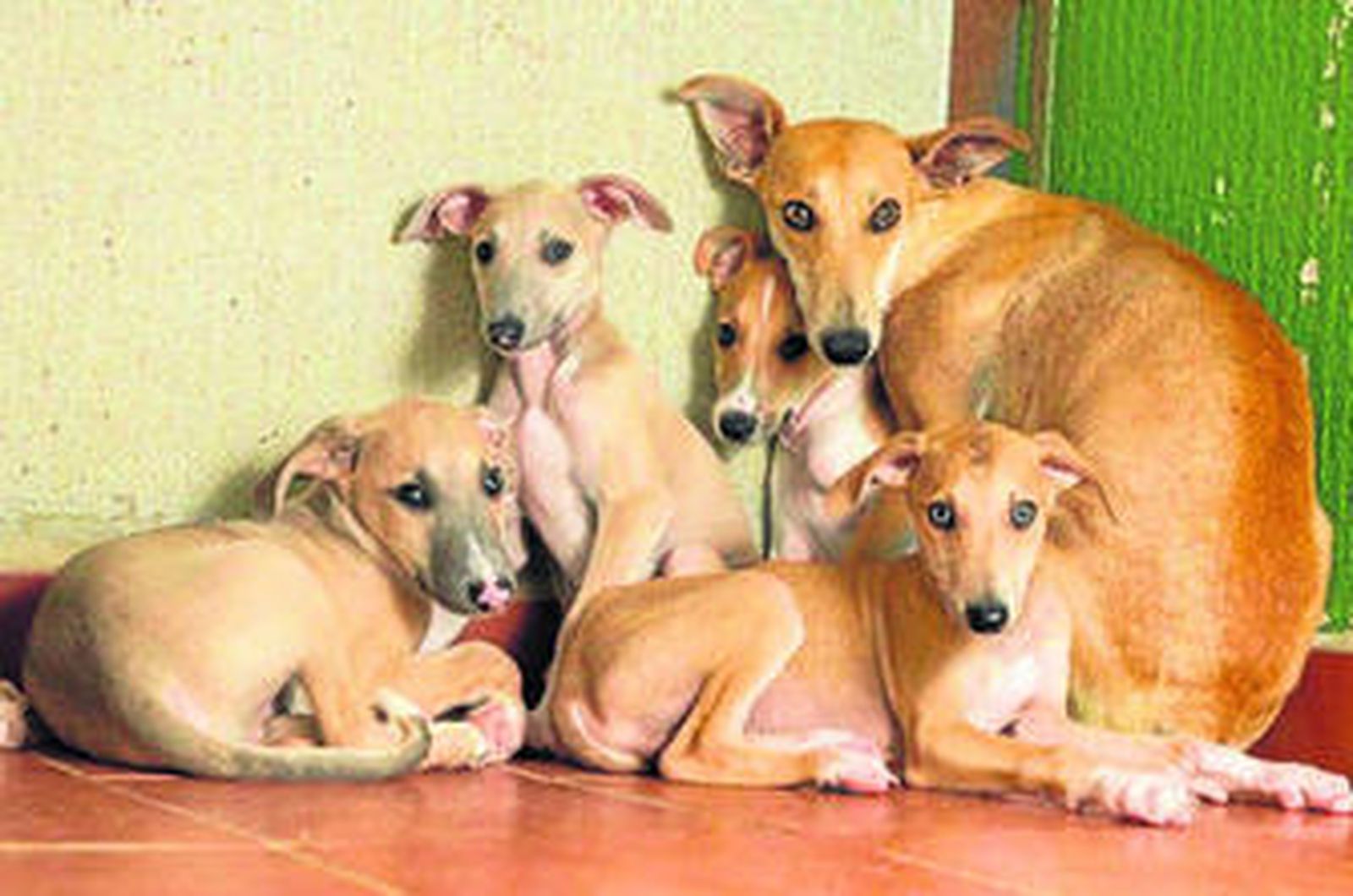 Un refugio para la vida