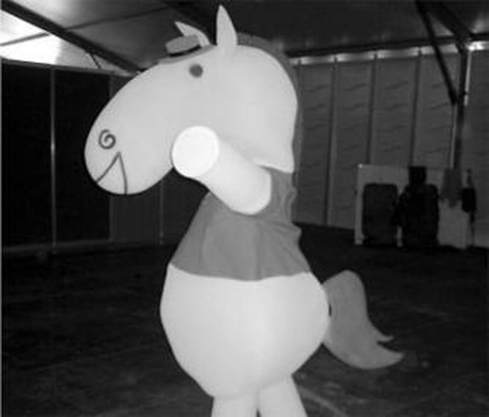 La mascota será la imagen del Campeonato de Doma Vaquera.