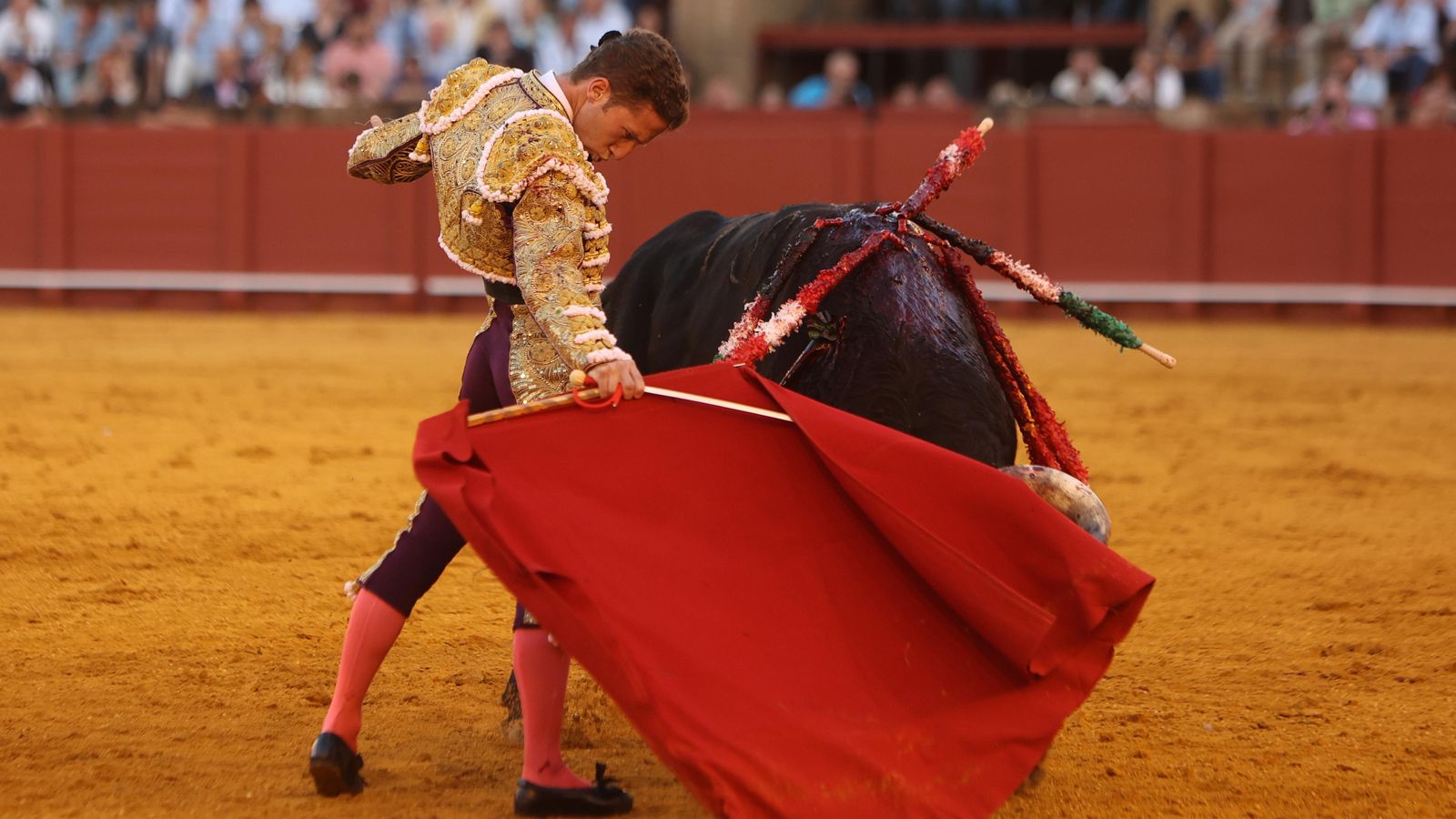 Calerito le enjareta un magnífico derechazo al bravo toro sexto, 'Pastelero'.