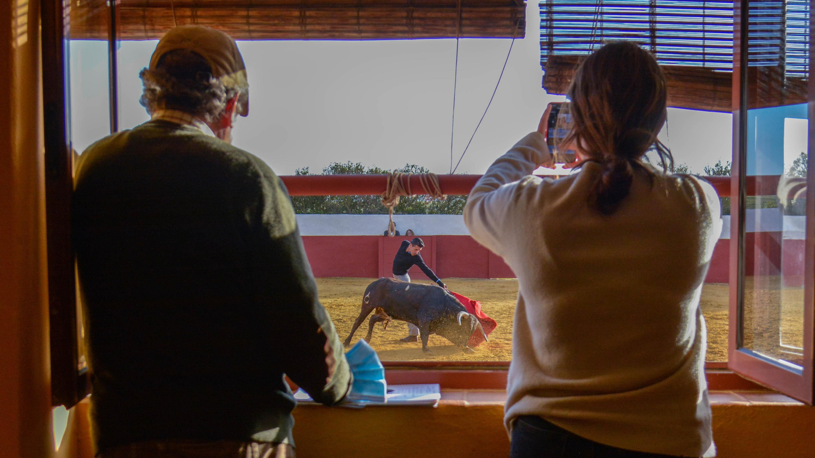 Tentadero con Talavante en la finca La Palmosilla