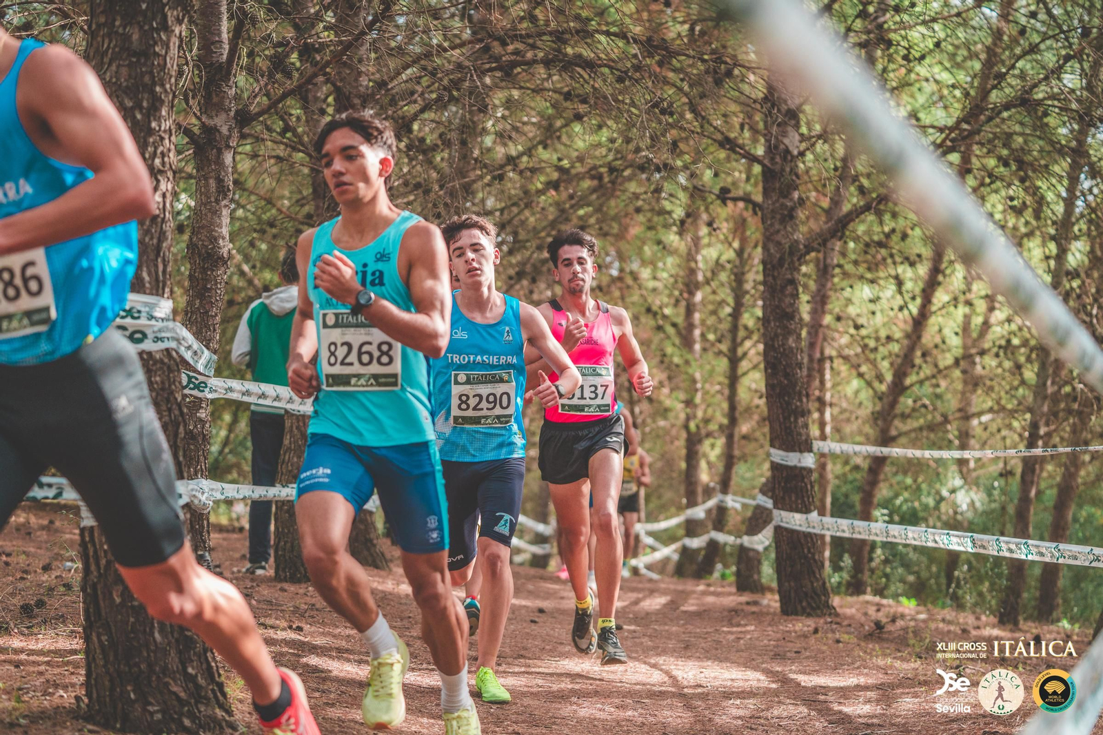 Búscate en las fotos del Cross de Itálica 2025 | 4