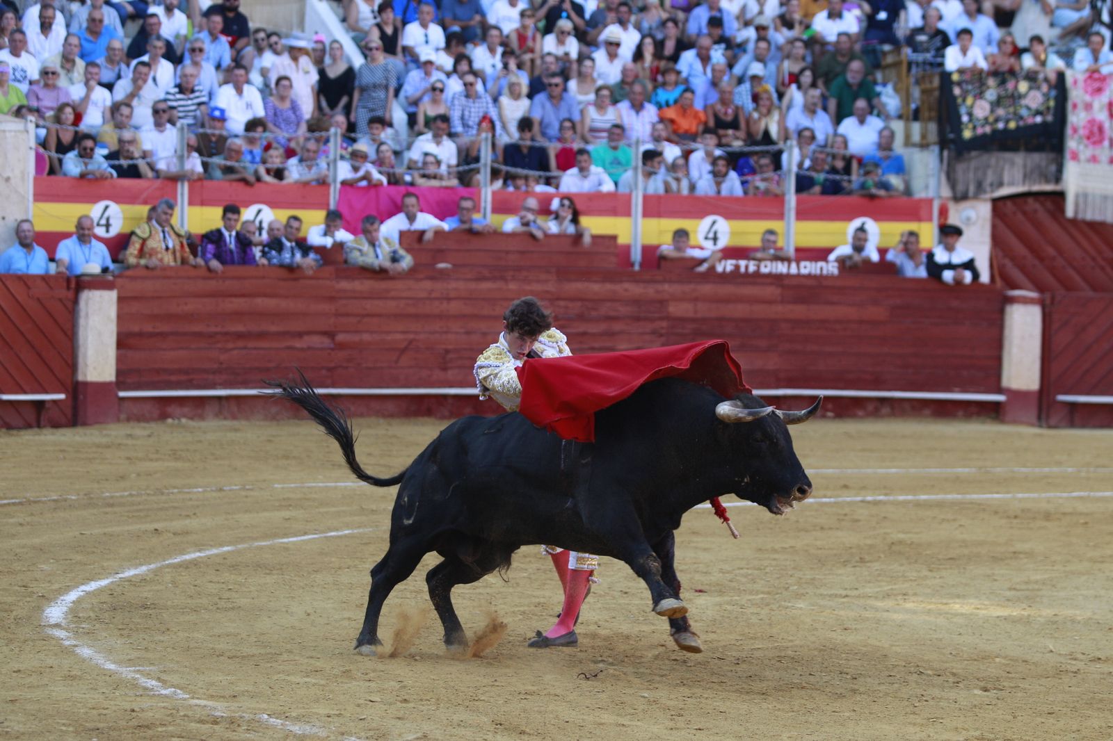 Imágenes del triunfo del torero almeriense Jorge Martínez el día de su alternativa