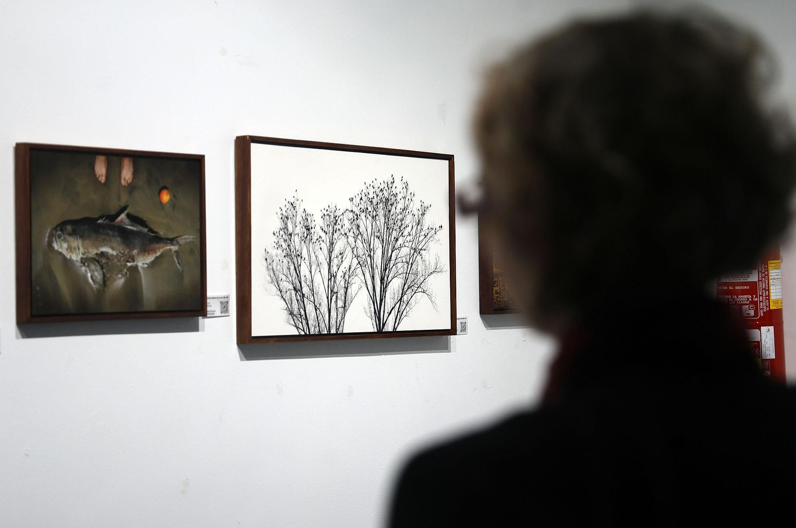 Imágenes de la exposición fotográfica 'Ítems de dudable belleza' del fotógrafo Rafael E.Cárdenas