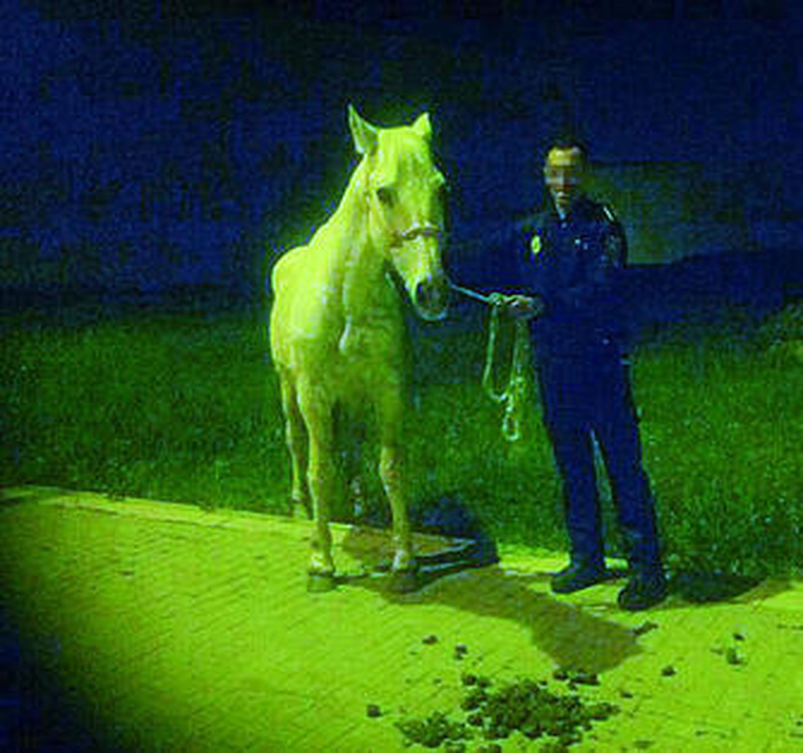 El policía, con el caballo una vez terminada la intervención.