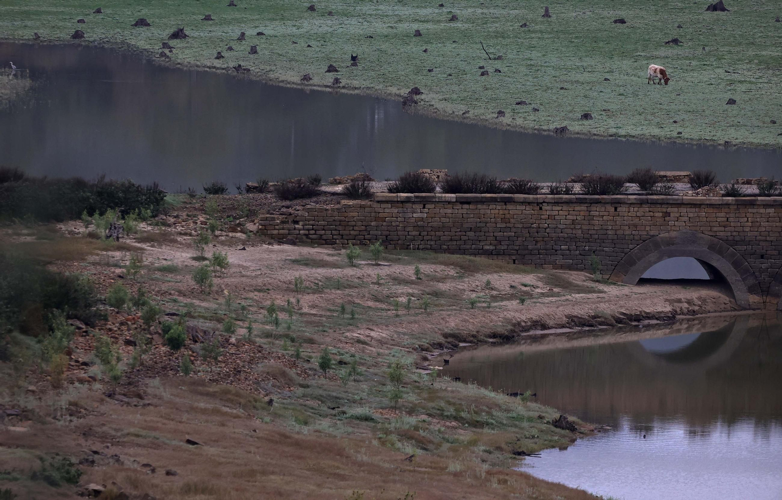 Fotos del pantano de Charco Redondo en Los Barrios