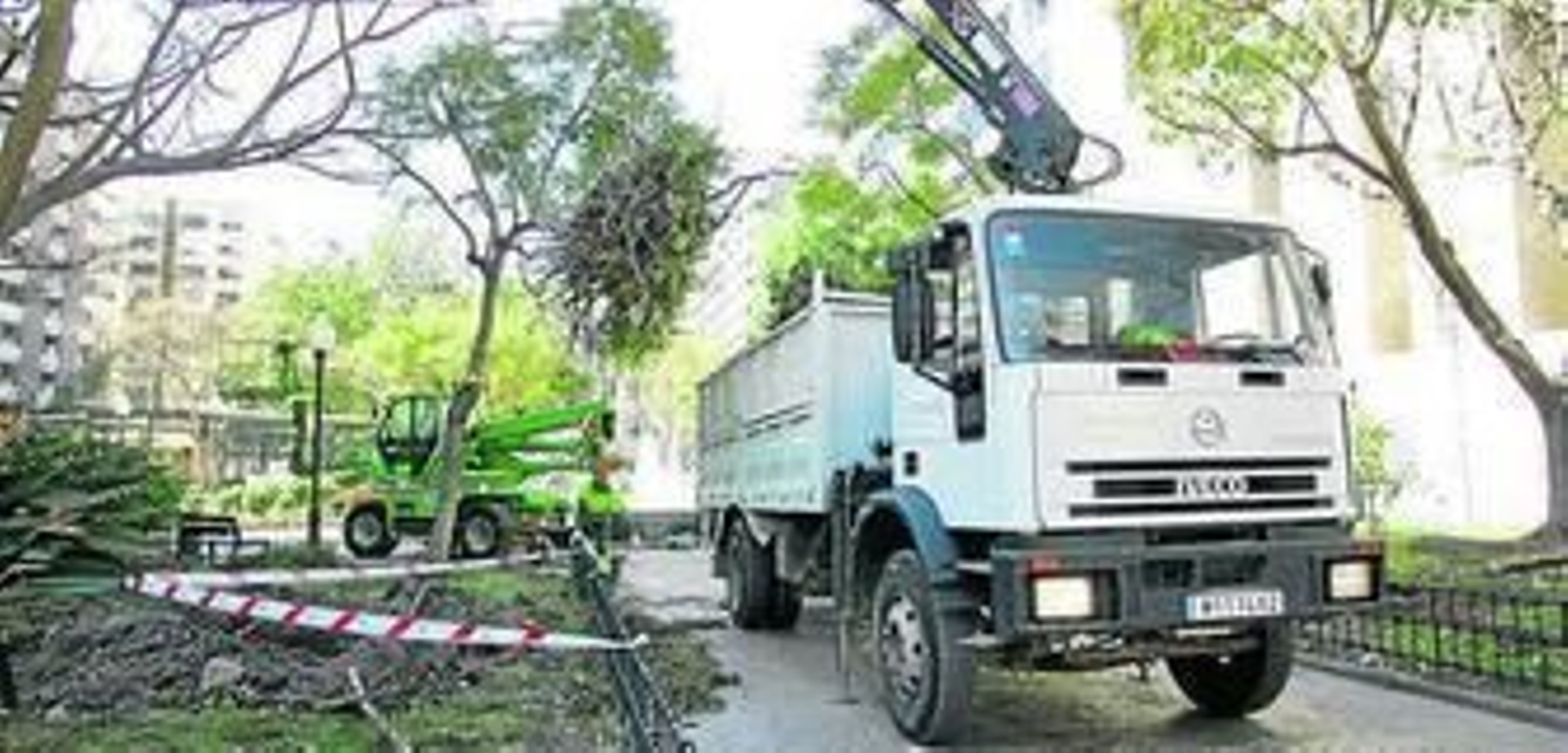 Jardines retiran con una grúa las ramas podadas.