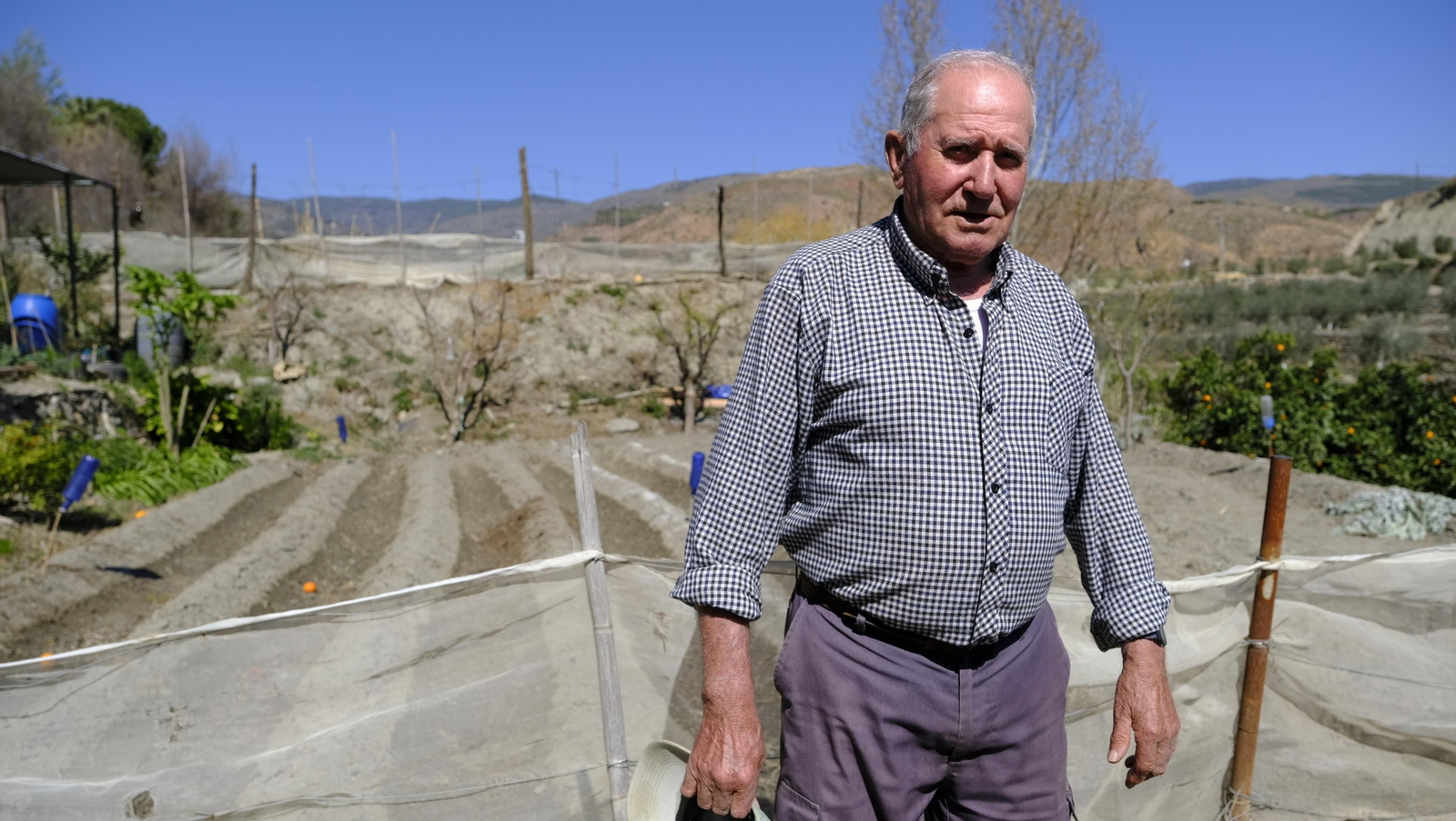 A contrarreloj para la patata: "Un agricultor vive todo el año mirando la luna" A contrarreloj para la patata: "Un agricultor vive todo el año mirando la luna"