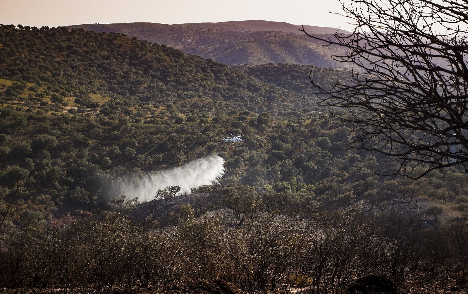 El incendio forestal de El Ronquillo, en imágenes