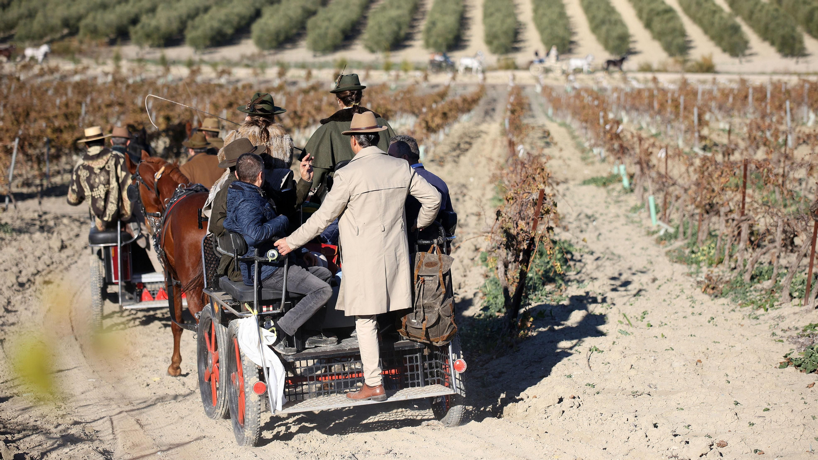 II Ruta Viñas de Jerez