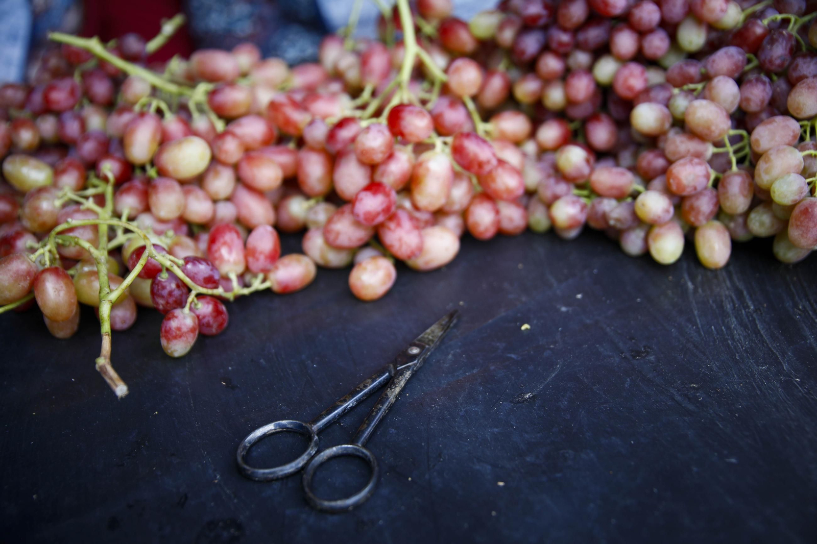 La tradicional faena de la uva de Canjayar, en imágenes