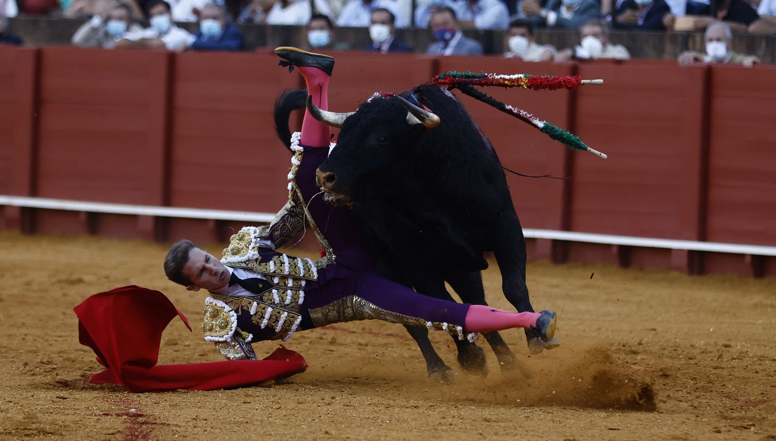 Fotos de la segunda novillada de la feria de San Miguel de Sevilla