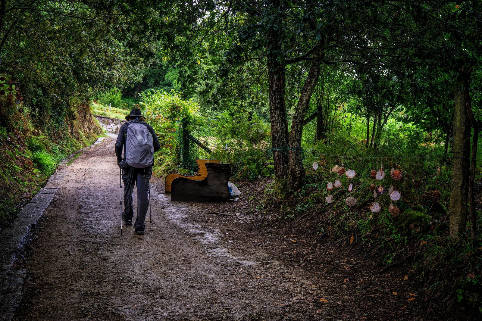 2º Entre vieiras.jpg