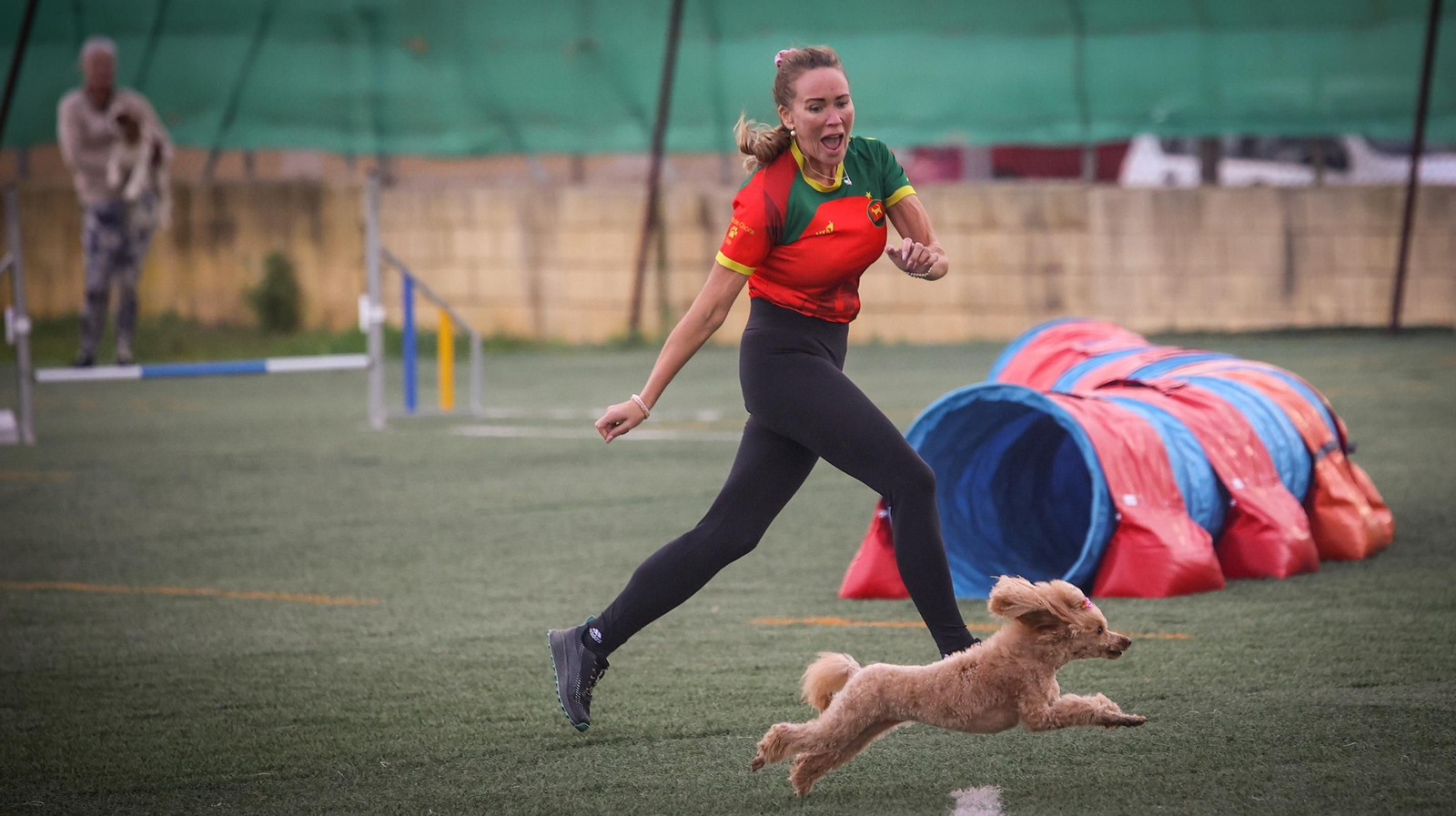 Habilidad canina en la prueba puntuable para el Campeonato de España de 'Agility' celebrado en Jerez Espectaculares las pruebas de disciplina canina puntuables para el Campeonato de España de Agility