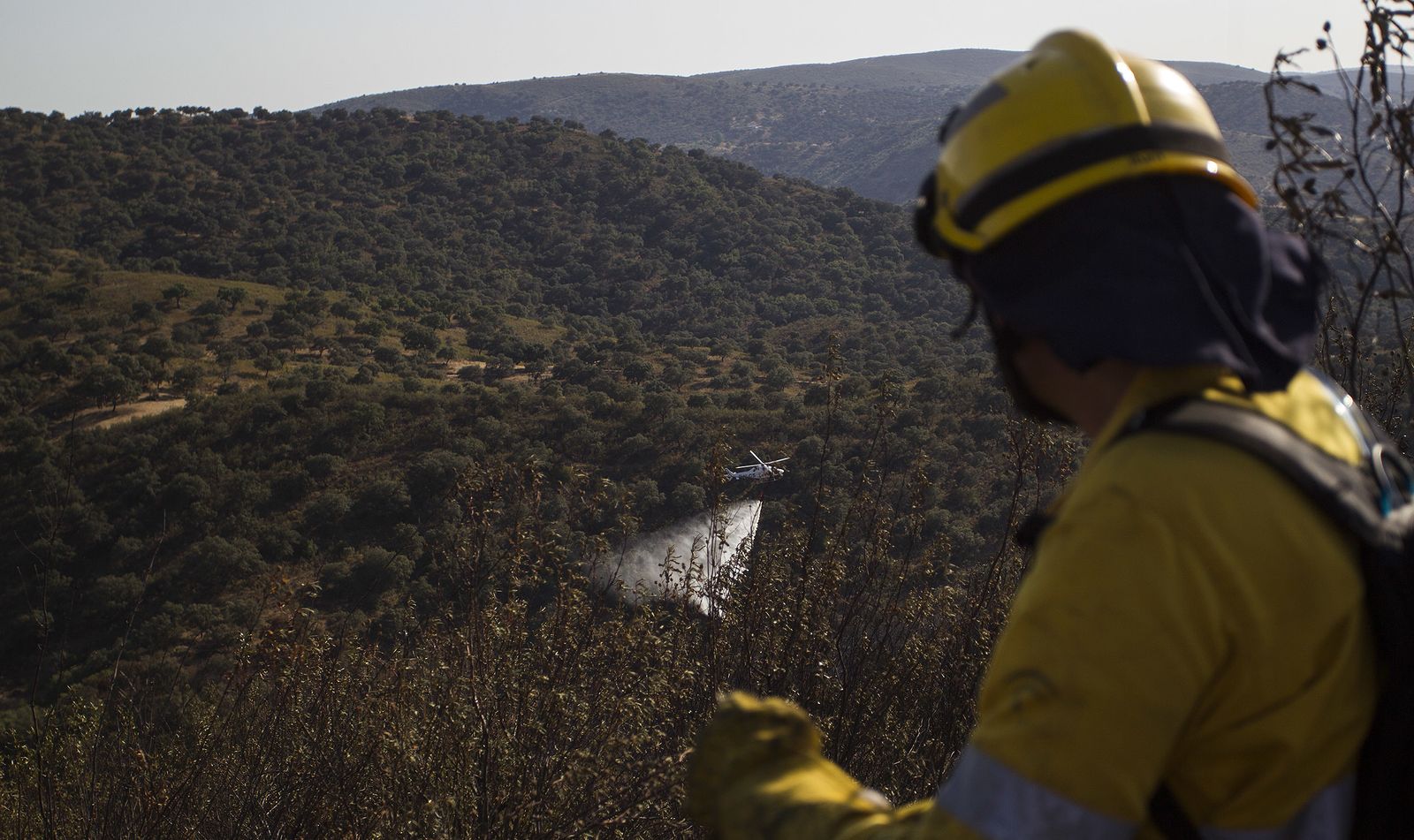El incendio forestal de El Ronquillo, en imágenes