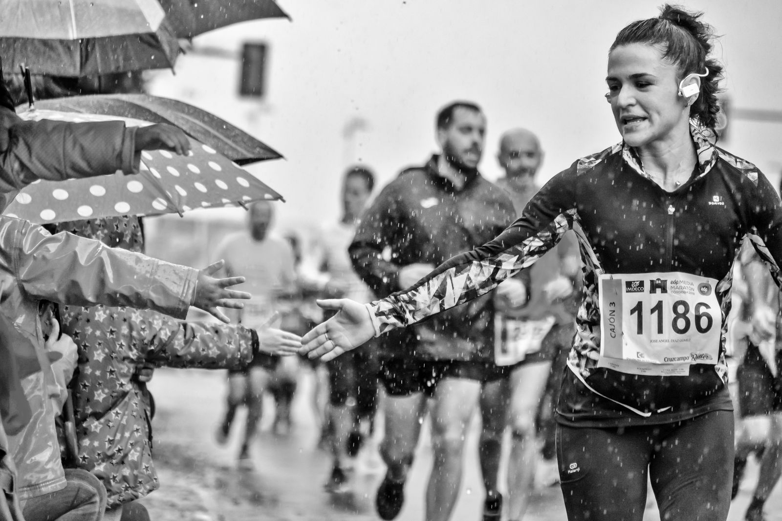 Imagen ganadora del primer premio.