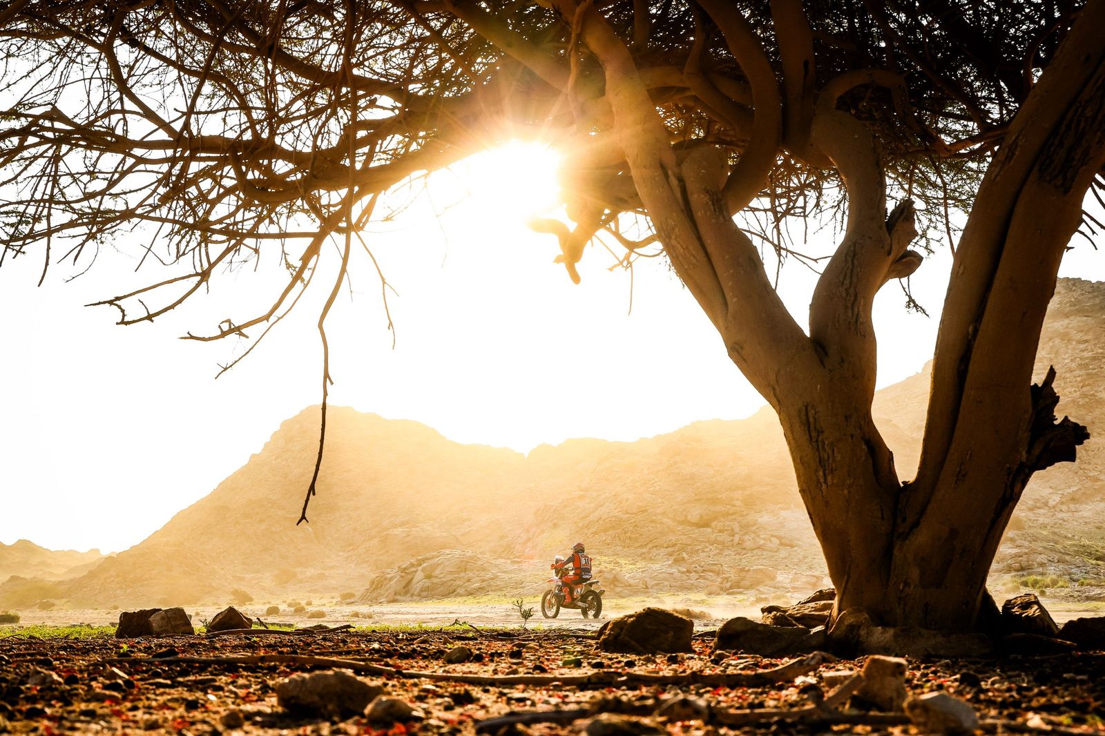 Las mejores fotos del Rally Dakar | Primera etapa