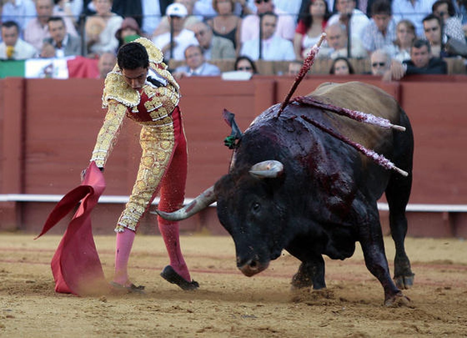 El torero mexicano Israel Téllez, en su debut en España.

Foto: Juan Carlos Muñoz