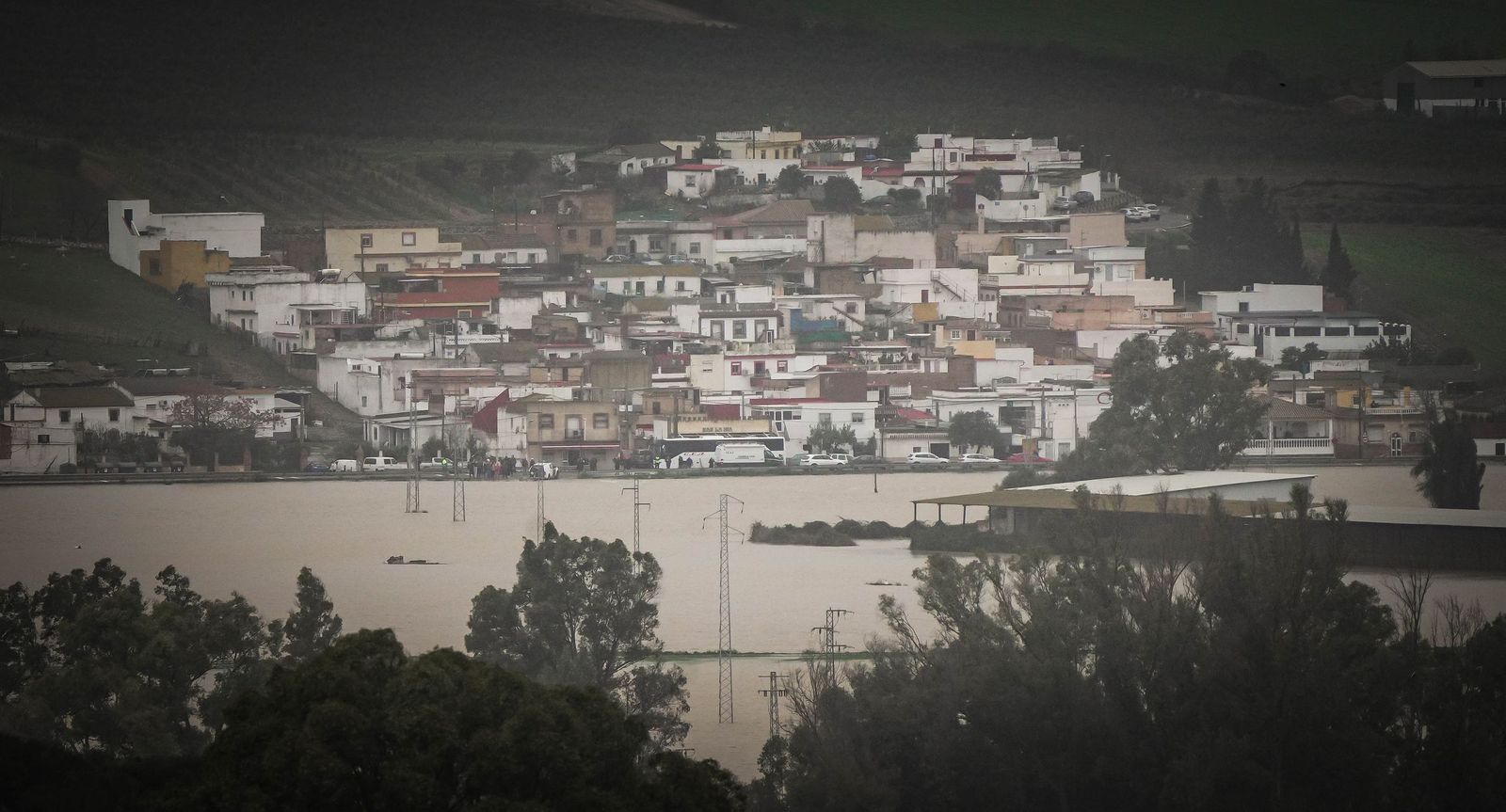 Imágenes de las graves consecuencias de la crecida del rio Guadalete en la zona rural de Jerez
