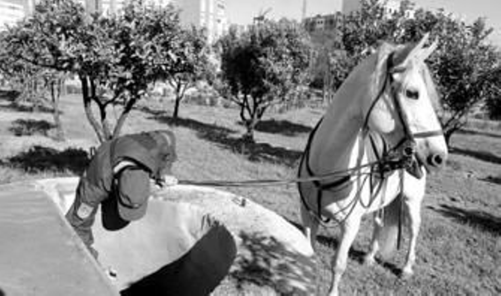 Un agente de la Policía Nacional revisa un pozo durante la búsqueda de la pequeña.
