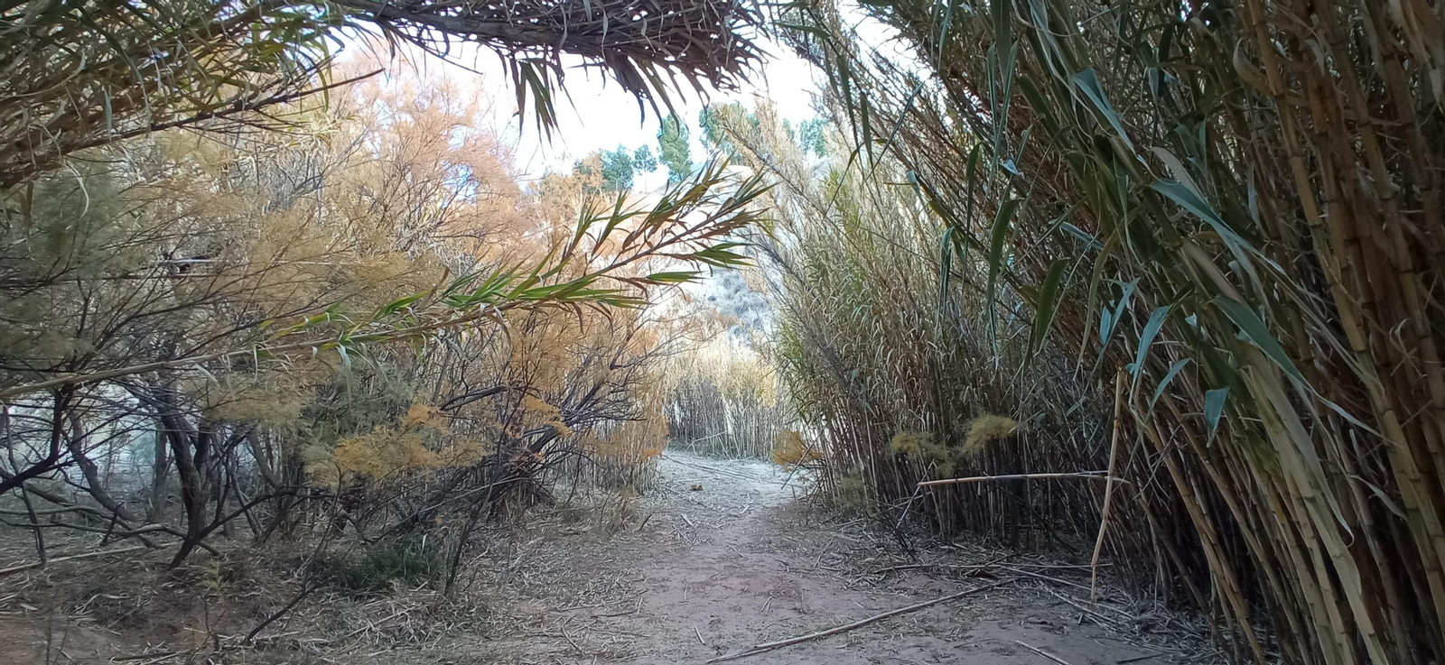 Las imágenes de la ruta Hinojares - Cuenca - Hinojares