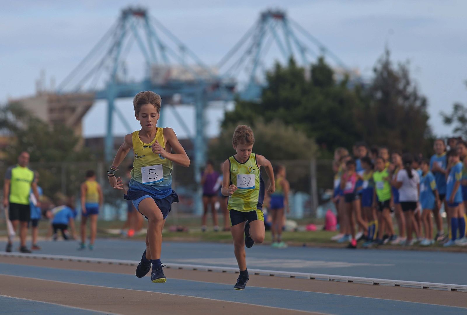 Los juegos municipales de atletismo sub-12 de Algeciras, en imágenes