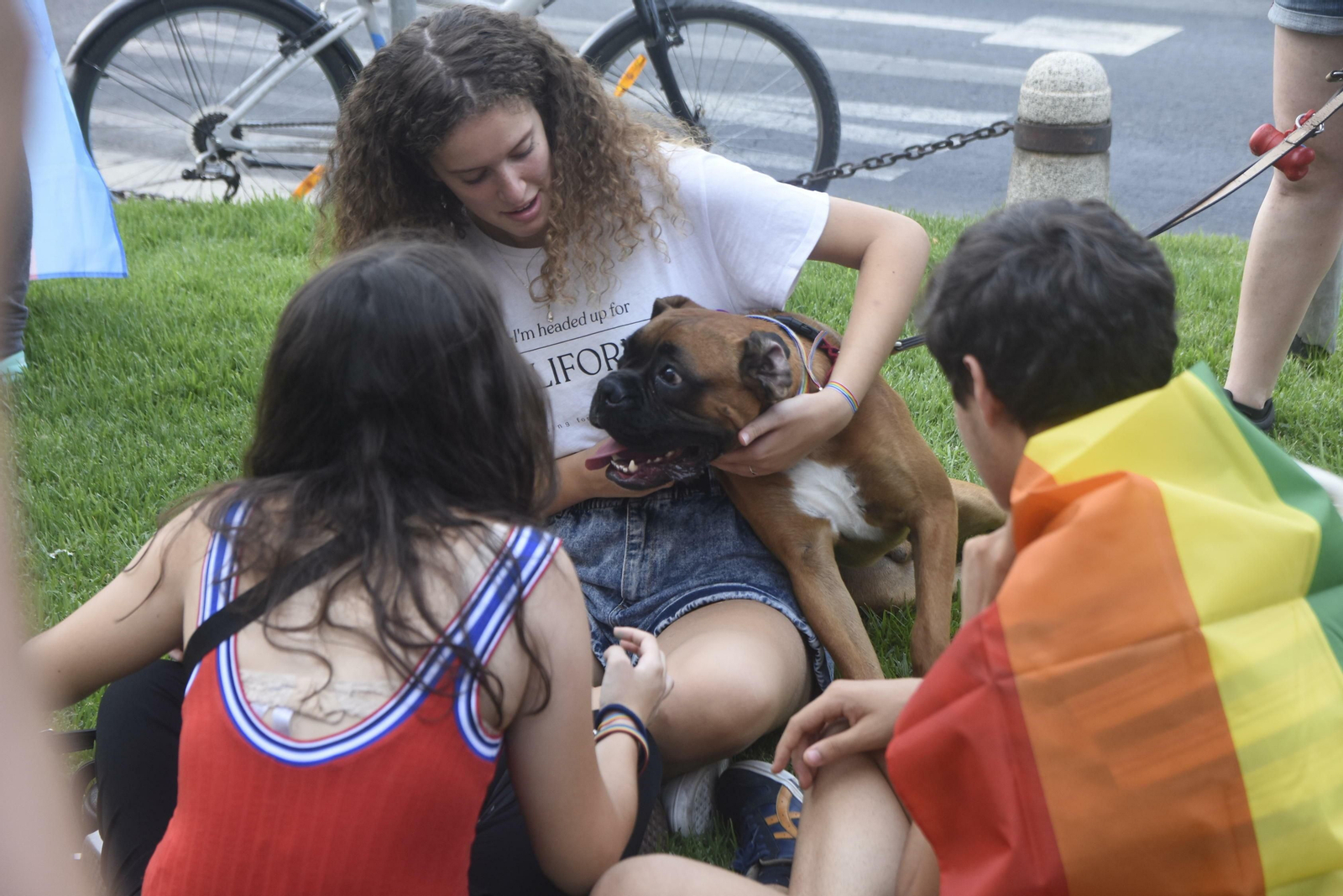 Las fotos de la marcha del Orgullo en Córdoba