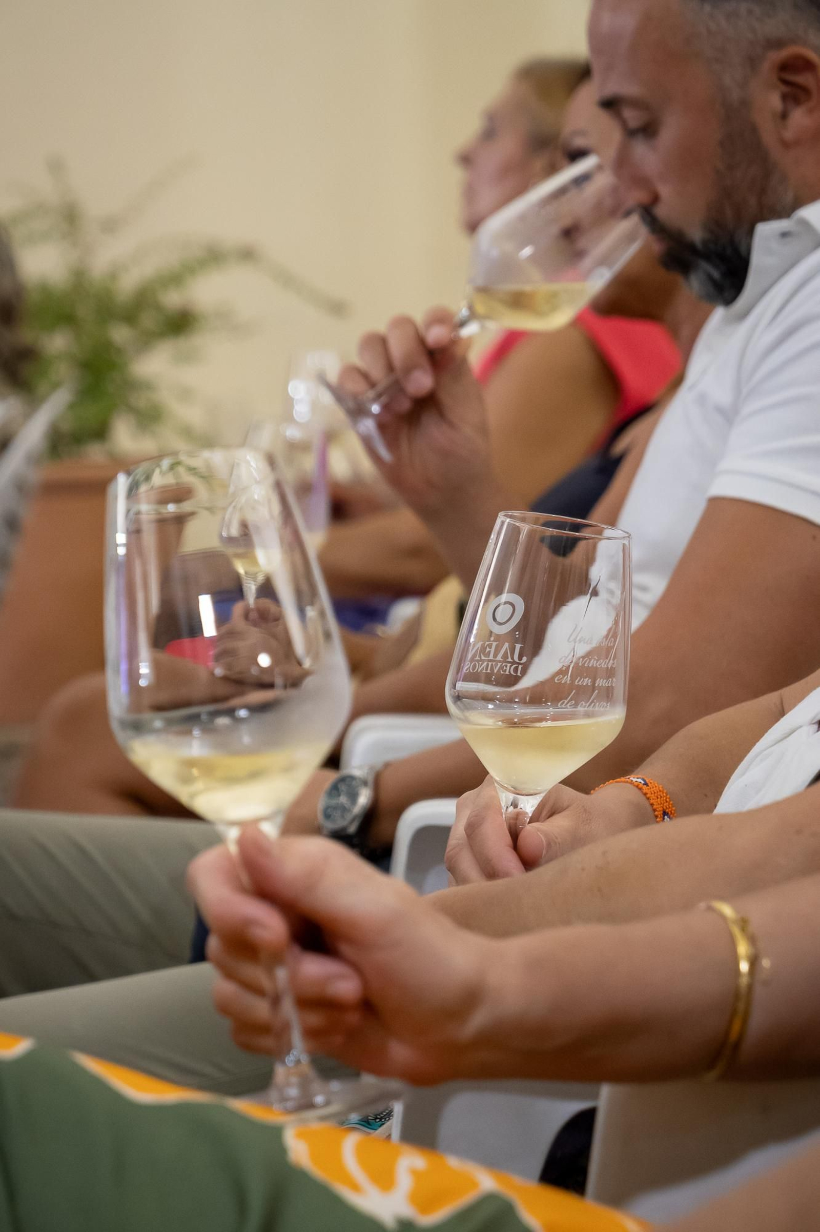 Cata de vinos kosher con Jaén de Vinos.