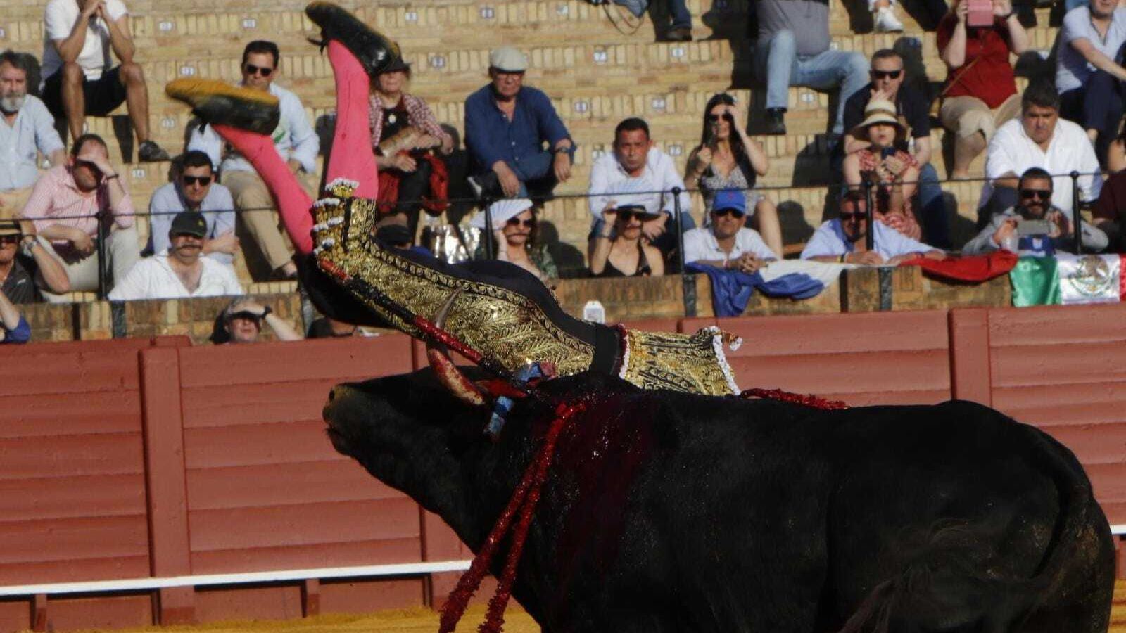 El toro da una voltereta a Paco Ureña.