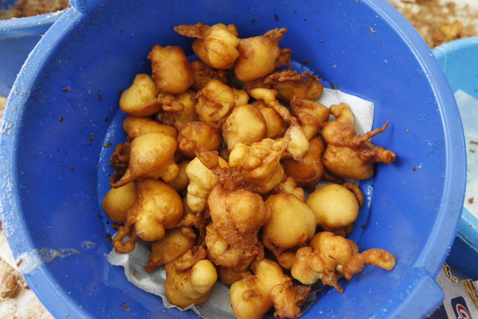 Fotogalería Día de la Naranja en Gádor