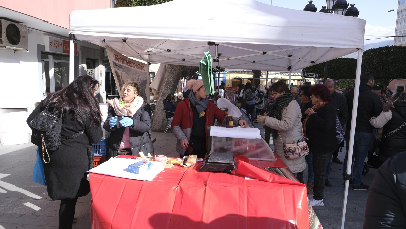 Imágenes del Día de la Naranja, en Gádor