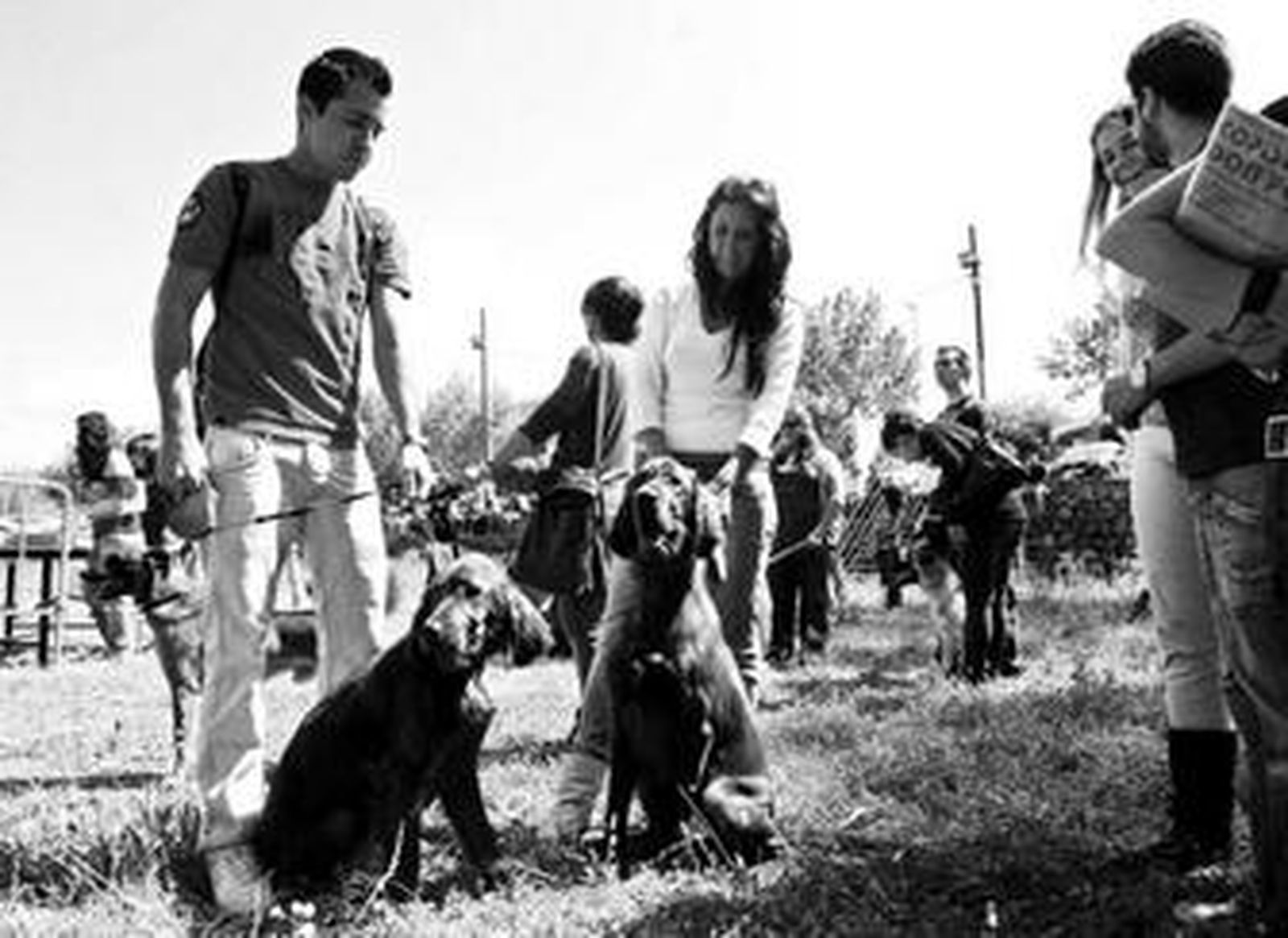 La pareja de setter irlandeses ganadora de uno de los premios del certamen.