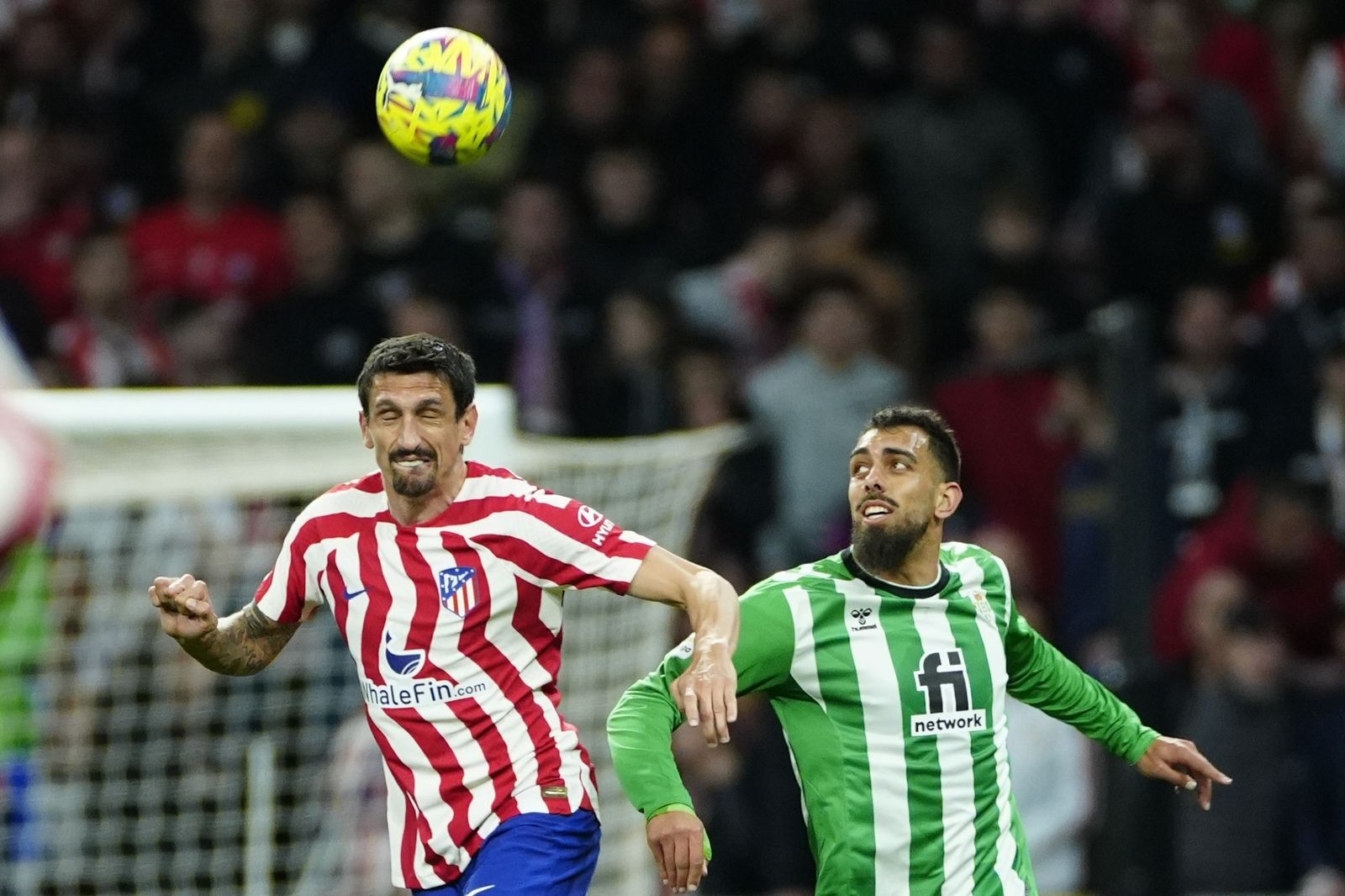 Las fotos del Atlético Madrid - Betis