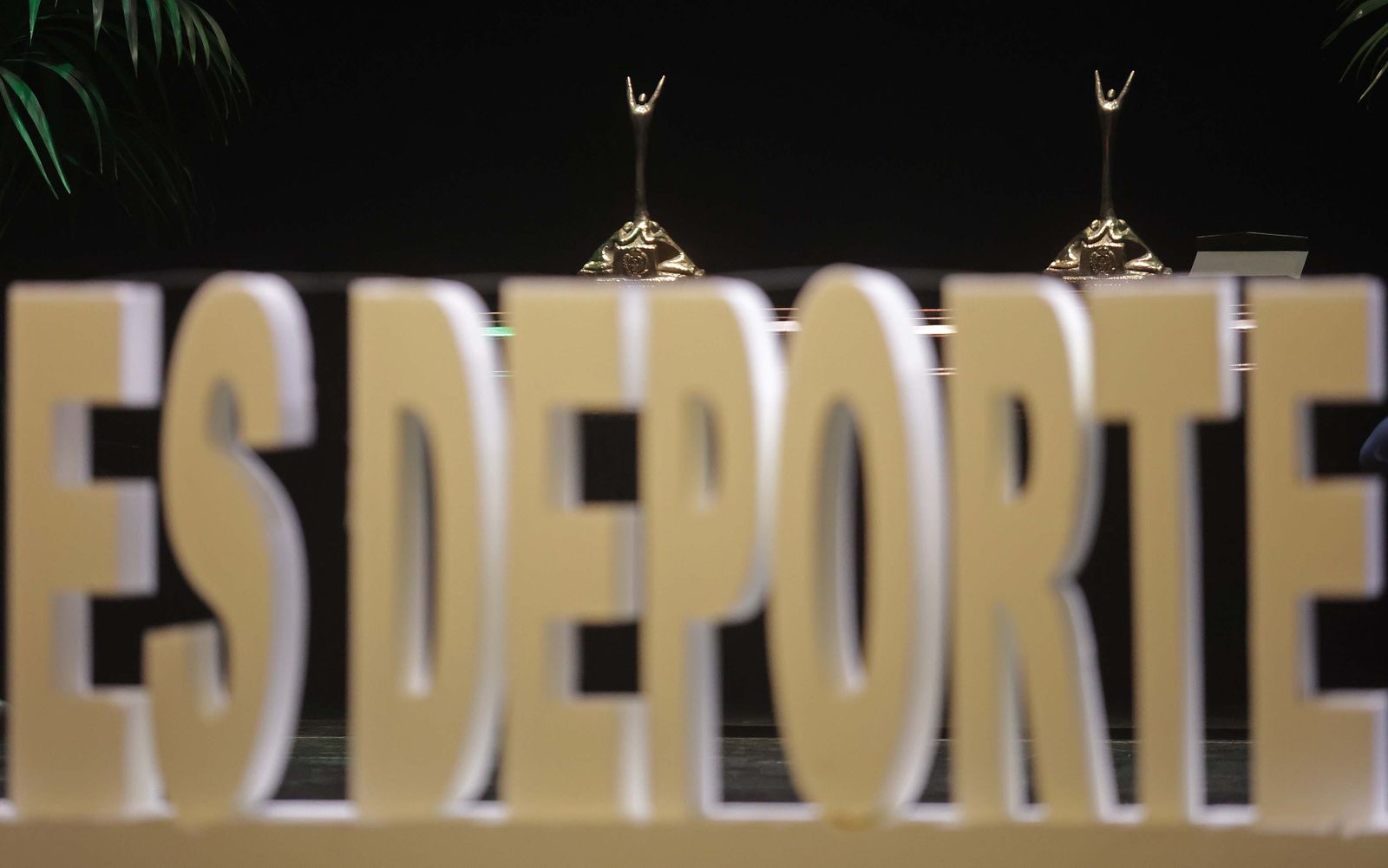 LA XXXVII Gala del Deporte de Algeciras, en imágenes