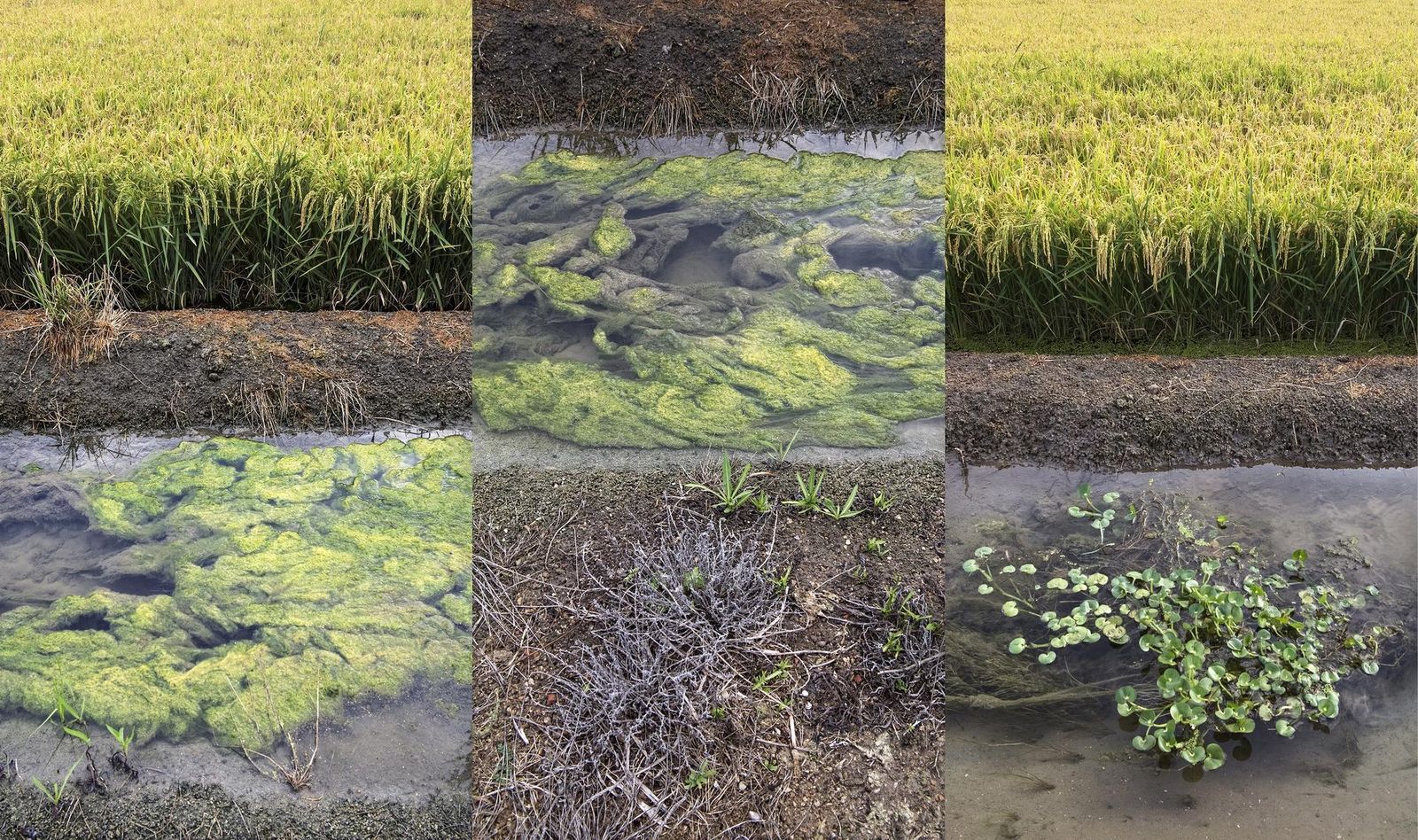 Fotografía de Mar Garrido que se puede ver en la muestra del Museo.