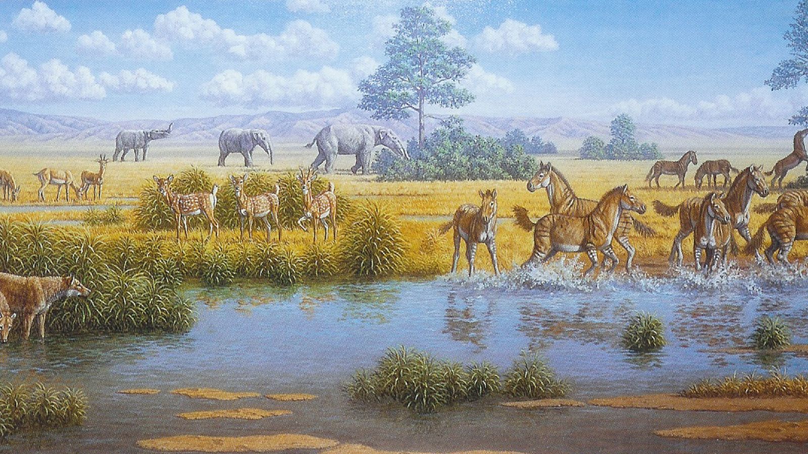 Recreación ideal del entorno en que vivieron los elefantes de Láchar