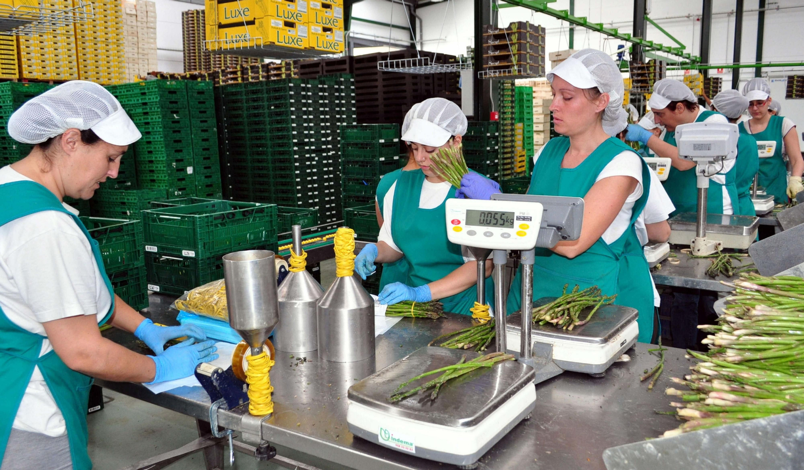 Mujeres trabajando en una cooperativista.