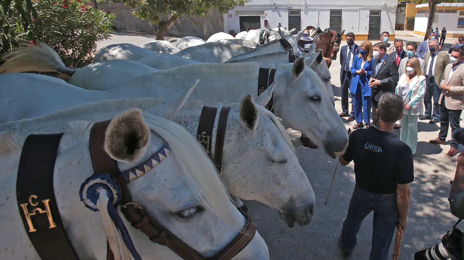 El ministro de agricultura Luis Planas visita Jerez y la yeguada del Hierro del Bocado