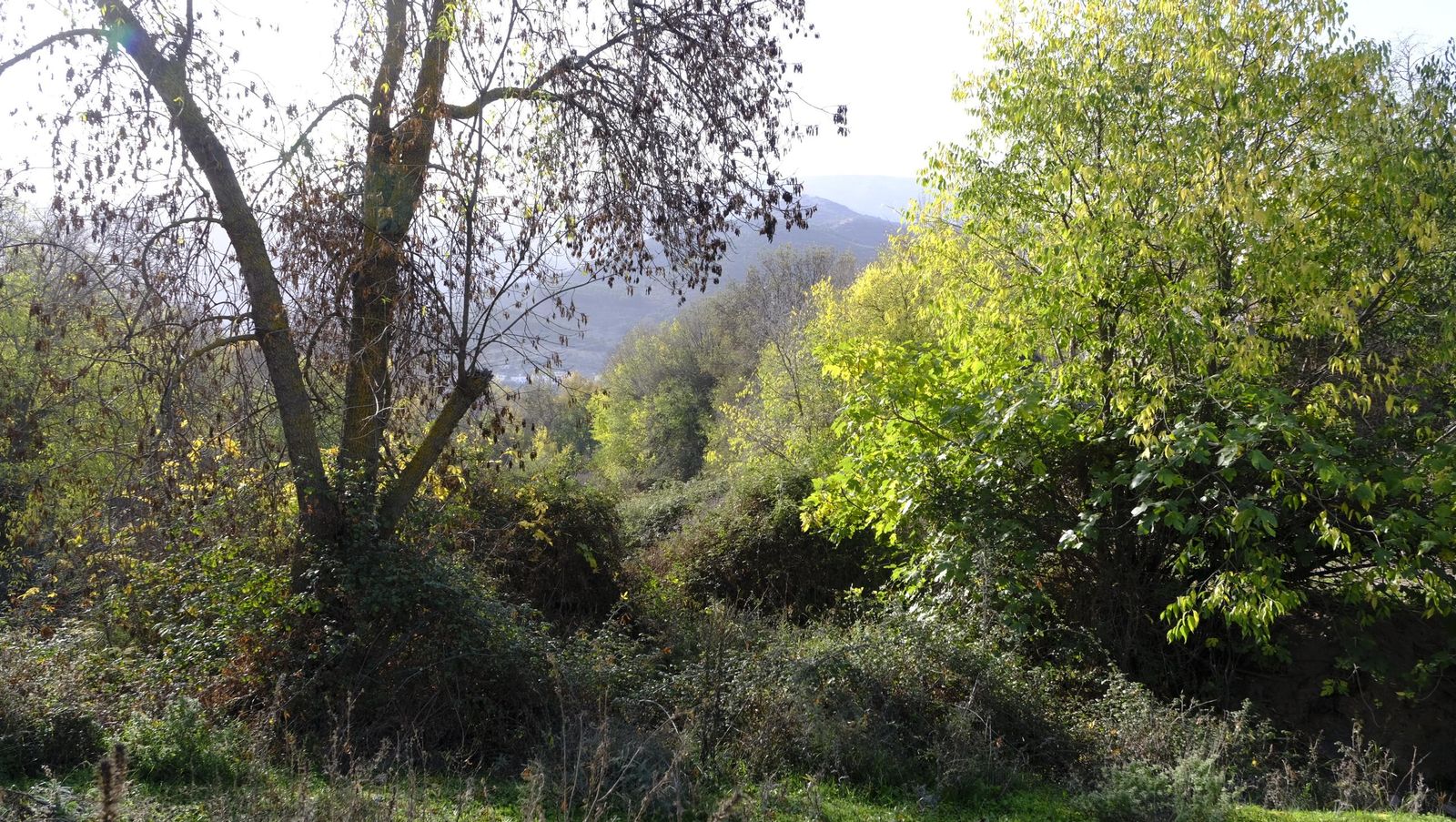 Limpieza y senderismo por la Alpujarra, en imágenes