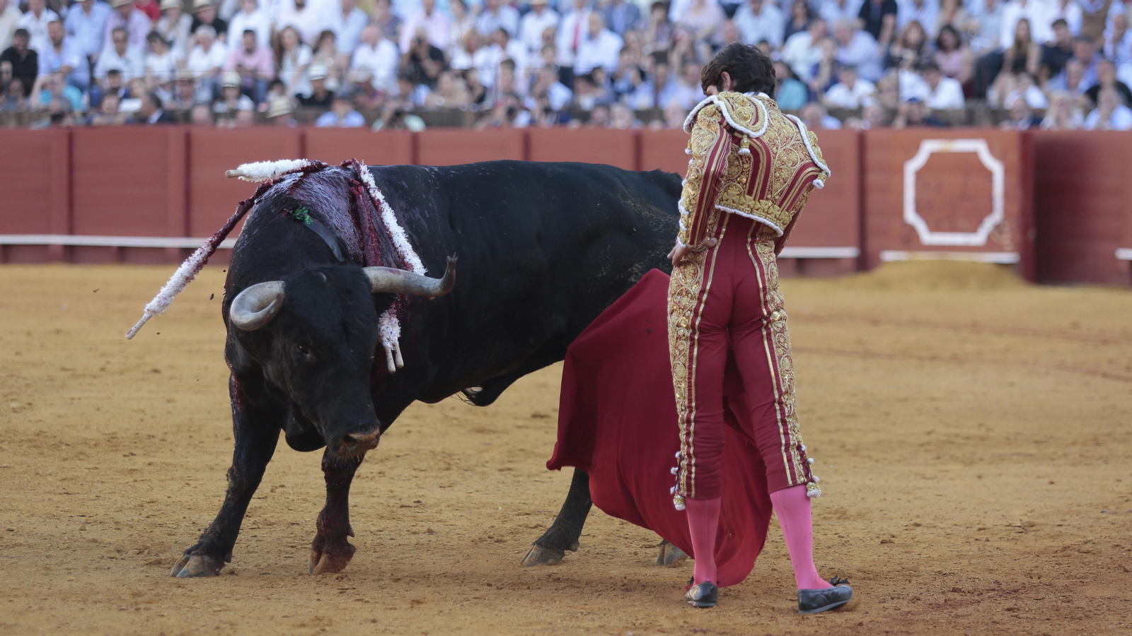 Las imágenes de la corrida de Los Miura